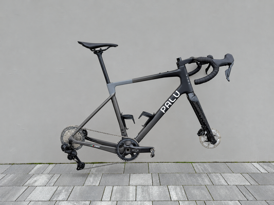 PALU GREENTEGRATA [+] ANT Atelier Edition · Bike without wheels · Size 5  (185-200 cm)