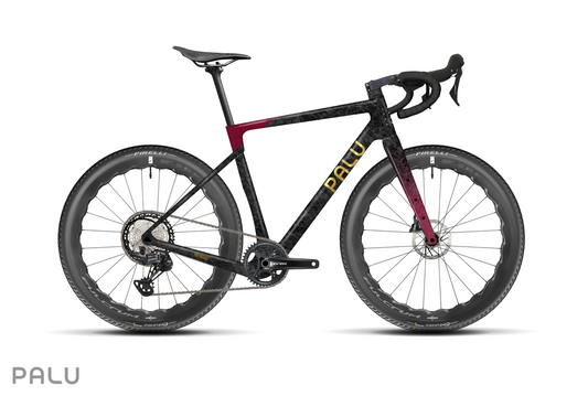 PALU GREENTEGRATA [+] PB N*100 X CHENTHU Capsule Edition Gravel Bike