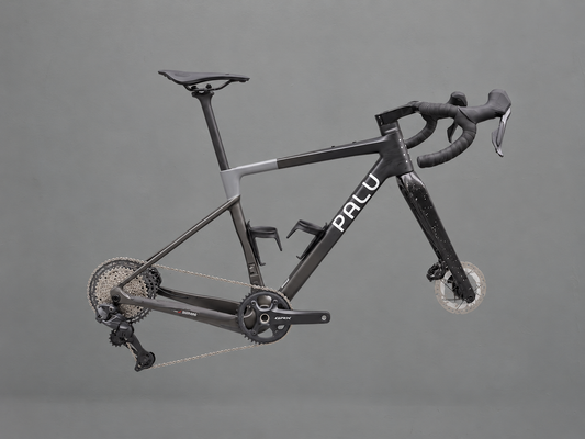 PALU GREENTEGRATA [+] ANT Atelier Edition · Bike without wheels · Size 1 (160-175 cm)